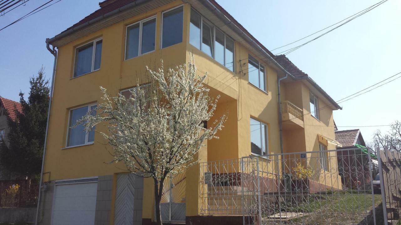 Hotel Casa Salin Turda Exteriér fotografie